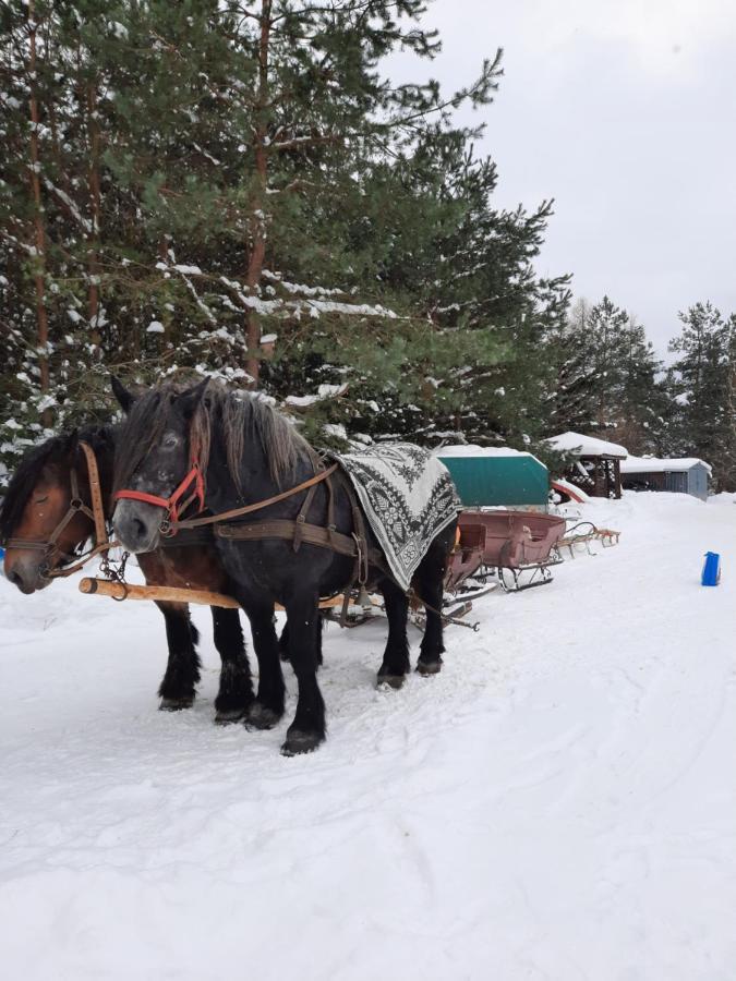 Farmstay Marianowka U Tesi Giby Exterior foto