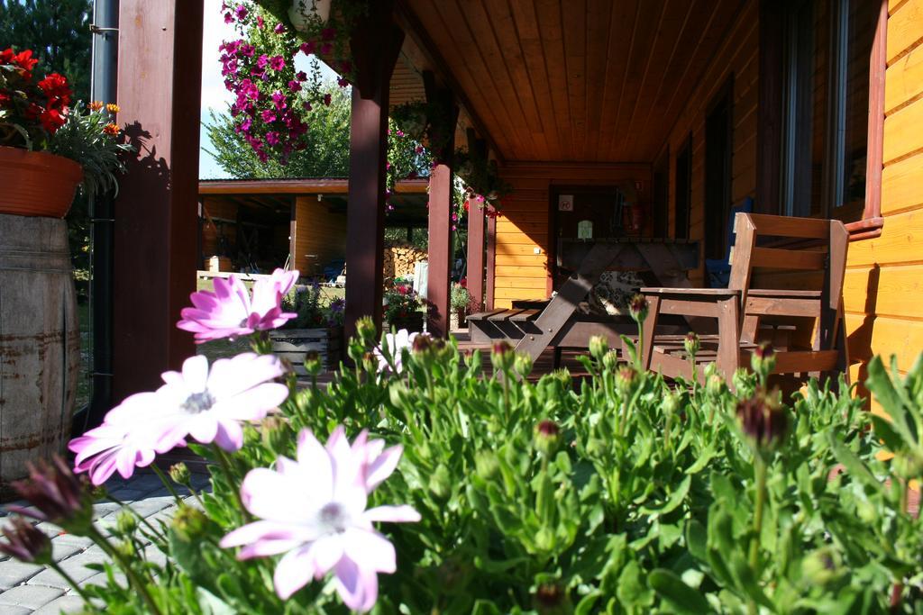 Farmstay Marianowka U Tesi Giby Exterior foto